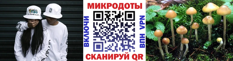 Галлюциногенные грибы мицелий Иланский