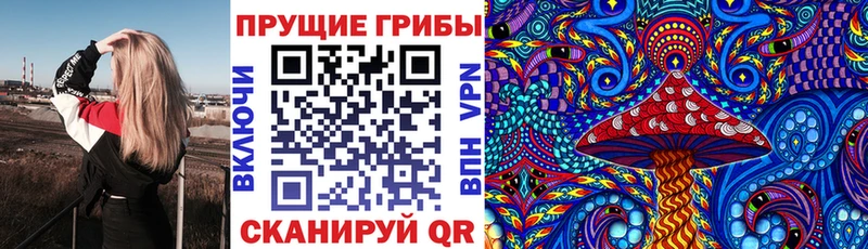 Купить где  Иланский  Галлюциногенные грибы мухоморы 