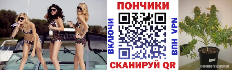 Канабис MAZAR  Купить закладки  Иланский 